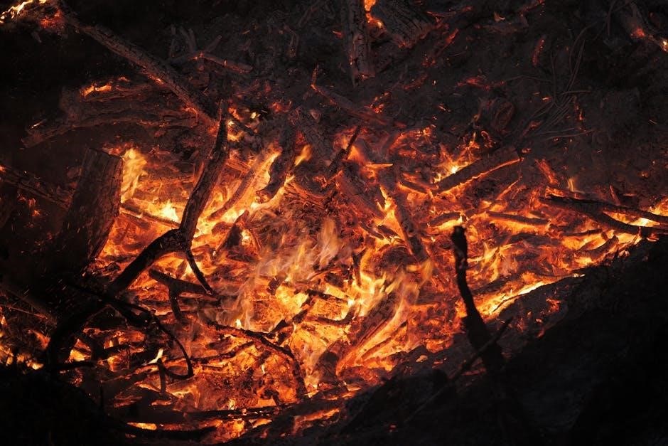 user guide for kindle fire hd 10