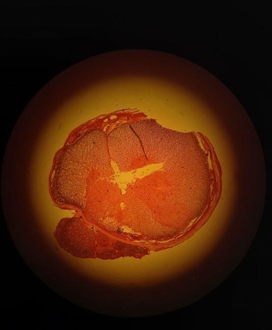 essentials of human anatomy and physiology laboratory manual