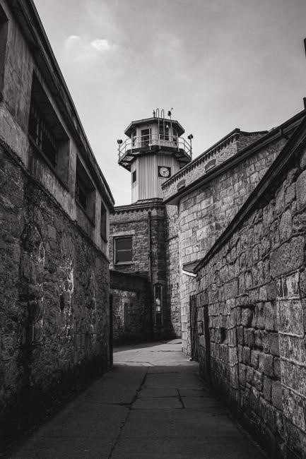 irving jail pdf